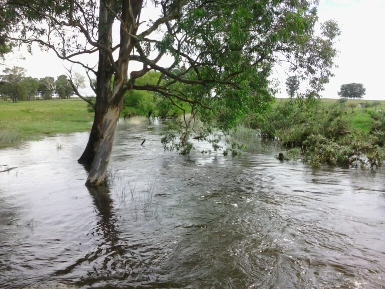 Áreas de inundación: señales claras de que tu zona está en riesgo