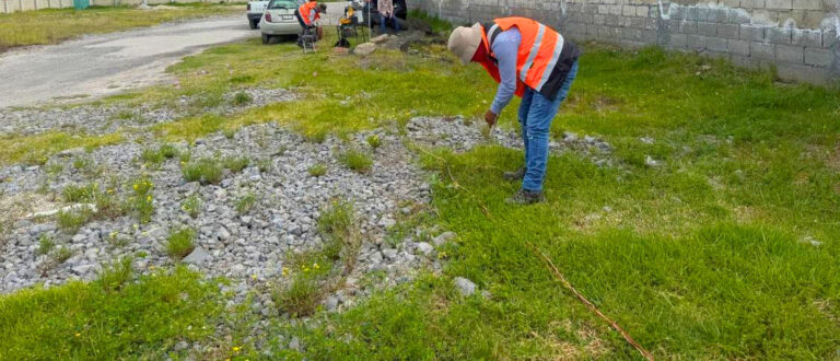 Lo que hay bajo el suelo puede definir tu proyecto
